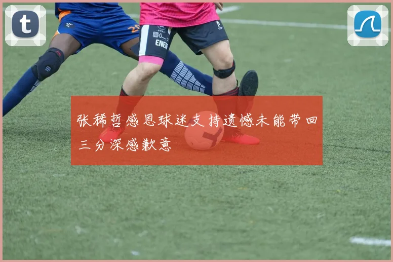 张稀哲感恩球迷支持遗憾未能带回三分深感歉意